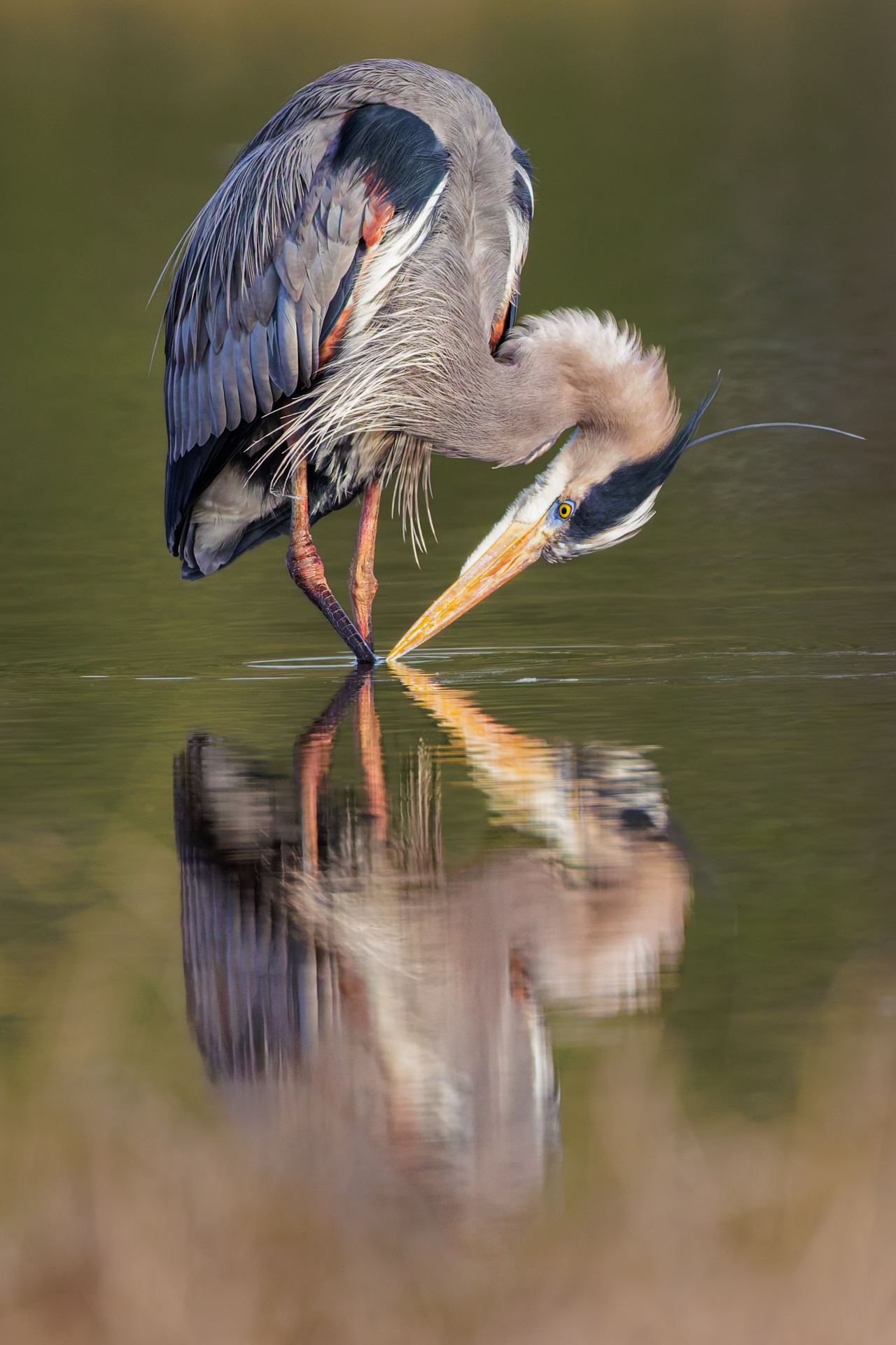 Open Color 1st   Reachin A Point   by  Gregory Rinker.jpg